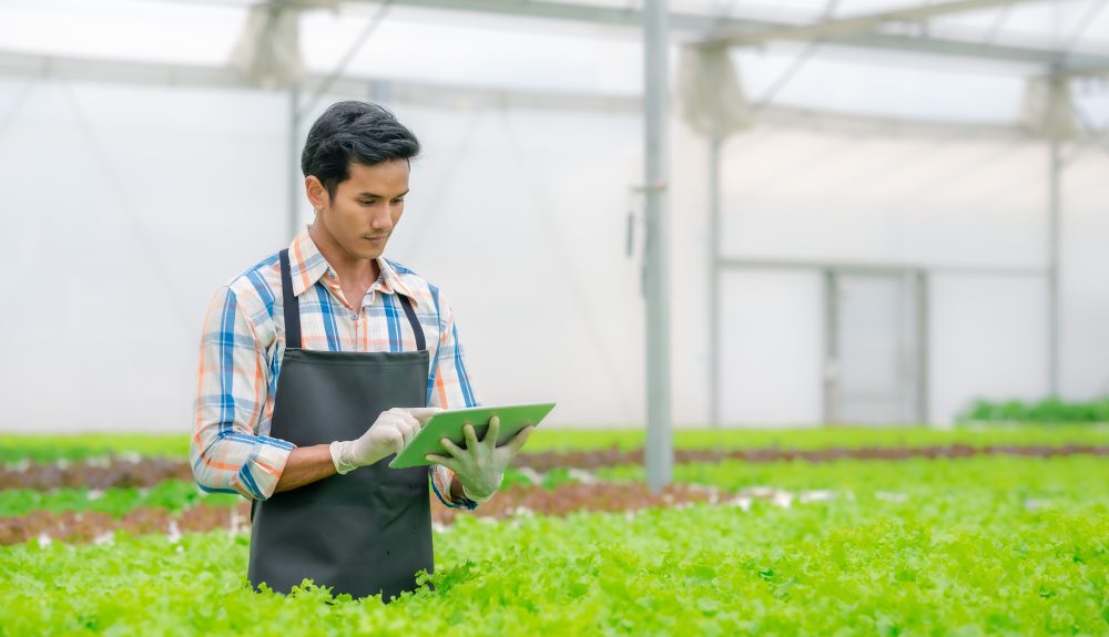 The New Era of Chemical and Pesticide-Free Farming, and How Your Business Should be Protected