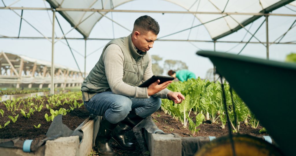 tablet-research-man-farm-greenhouse-growth-sustainability-plants-agriculture-technology-innovation-agribusiness-with-farmer-tracking-crops-season-eco-science