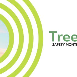 Tree Safety Month 2024 press release header