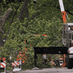 Work zone safety for tree service crew